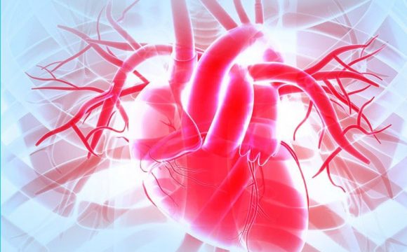WHAT DO YOU KNOW ABOUT YOUR HEART